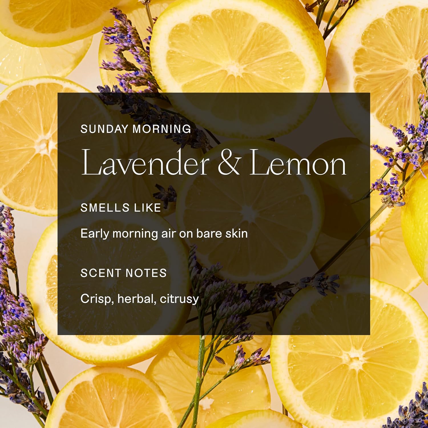 Each & Every Aluminum Free Deodorant for Women & Men - All Natural Deodorant for Sensitive Skin, EWG Verified - Clean, Baking Soda-Free, Plant-Based Fragrance, Lavender & Lemon, 2.5oz